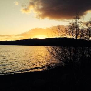 Meet your Posher, Heidi